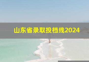 山东省录取投档线2024