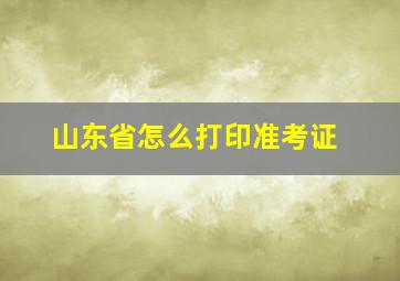 山东省怎么打印准考证