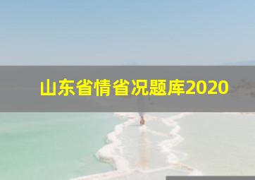 山东省情省况题库2020