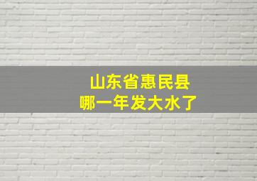 山东省惠民县哪一年发大水了