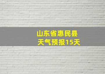 山东省惠民县天气预报15天