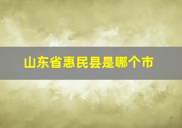 山东省惠民县是哪个市