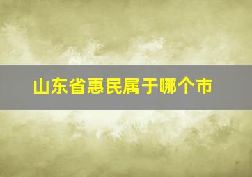 山东省惠民属于哪个市