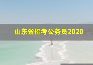 山东省招考公务员2020