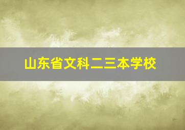 山东省文科二三本学校