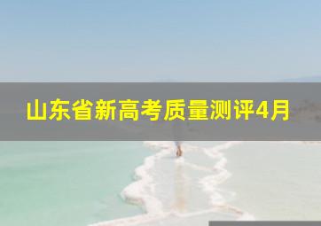 山东省新高考质量测评4月