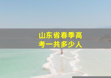 山东省春季高考一共多少人