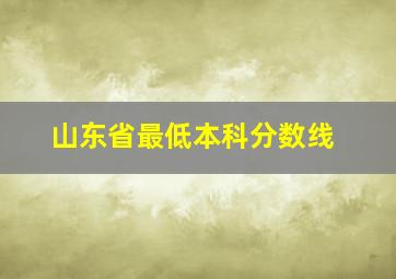 山东省最低本科分数线