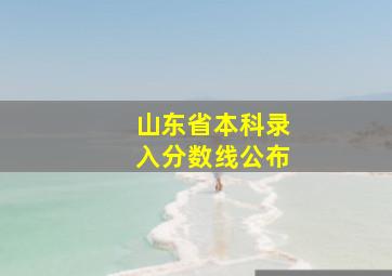 山东省本科录入分数线公布