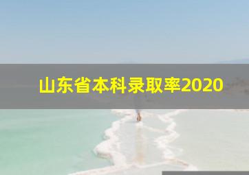 山东省本科录取率2020