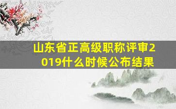 山东省正高级职称评审2019什么时候公布结果