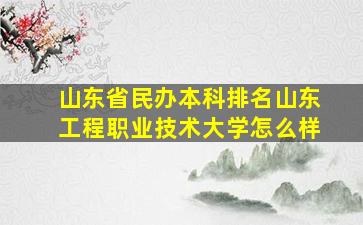 山东省民办本科排名山东工程职业技术大学怎么样