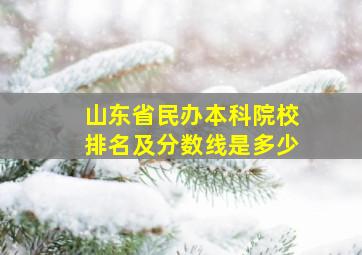 山东省民办本科院校排名及分数线是多少