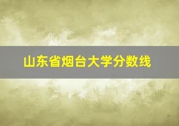 山东省烟台大学分数线