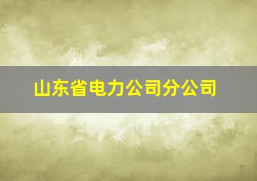 山东省电力公司分公司