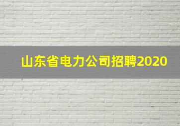 山东省电力公司招聘2020