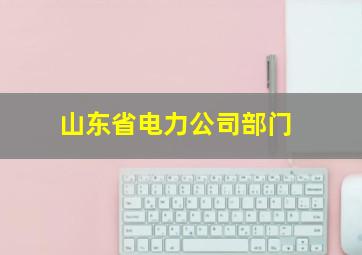 山东省电力公司部门