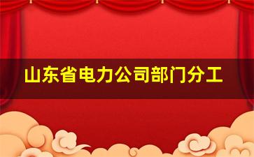 山东省电力公司部门分工