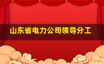 山东省电力公司领导分工