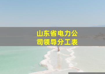 山东省电力公司领导分工表