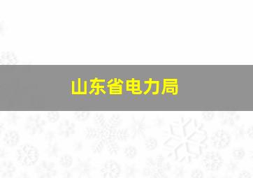 山东省电力局