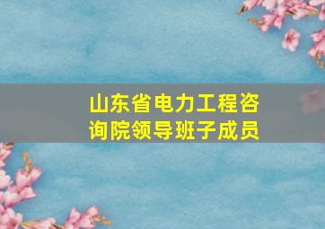 山东省电力工程咨询院领导班子成员