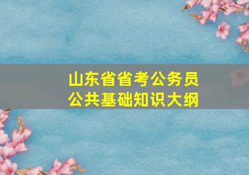 山东省省考公务员公共基础知识大纲