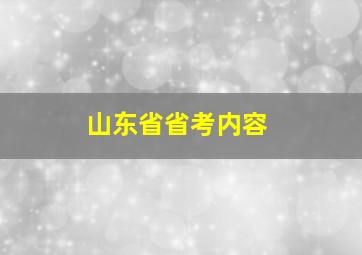 山东省省考内容