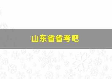 山东省省考吧