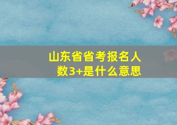 山东省省考报名人数3+是什么意思