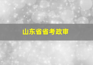 山东省省考政审