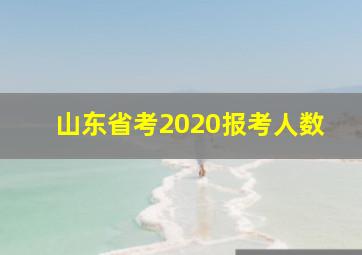 山东省考2020报考人数