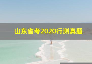 山东省考2020行测真题