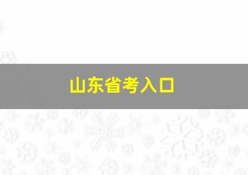 山东省考入口