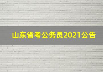 山东省考公务员2021公告