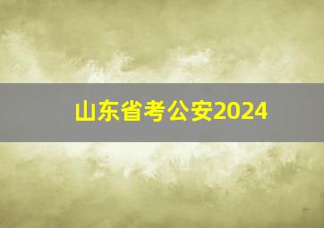 山东省考公安2024