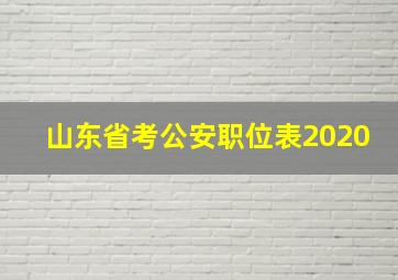 山东省考公安职位表2020