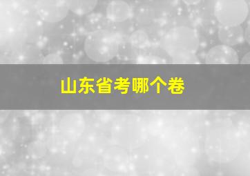 山东省考哪个卷