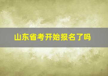 山东省考开始报名了吗