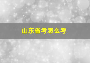 山东省考怎么考