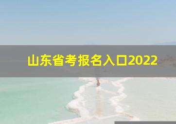 山东省考报名入口2022