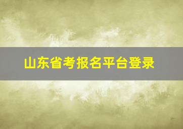 山东省考报名平台登录