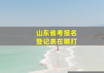 山东省考报名登记表在哪打