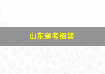 山东省考招警