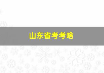 山东省考考啥