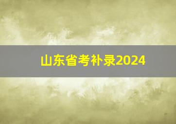 山东省考补录2024