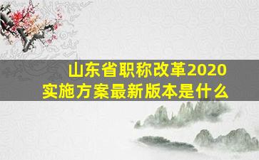 山东省职称改革2020实施方案最新版本是什么