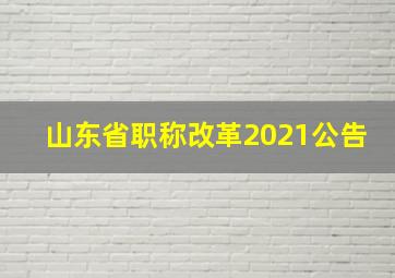 山东省职称改革2021公告