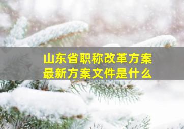 山东省职称改革方案最新方案文件是什么