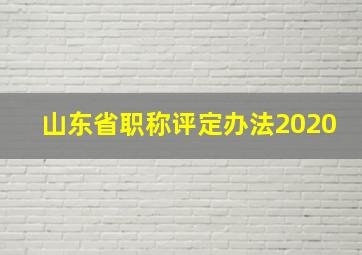 山东省职称评定办法2020